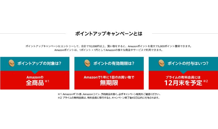 Amazonサイバーマンデー　ポイントアップキャンペーン　とは